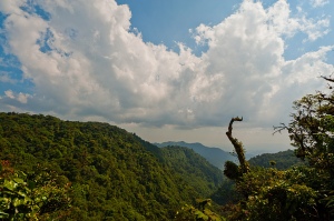 Monteverde-Cloud-Forest-Reserve